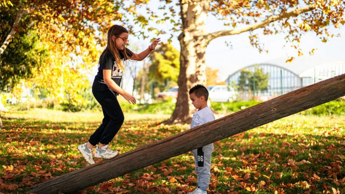 Two children enjoy a playful afternoon on a seesaw surrounded by vibrant autumn colors in the park.