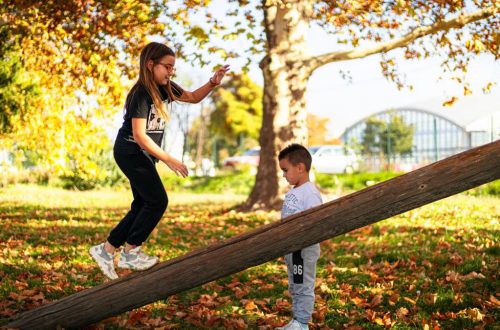 Two children enjoy a playful afternoon on a seesaw surrounded by vibrant autumn colors in the park.